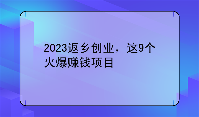 2023返乡创业，这9个火爆赚钱项目