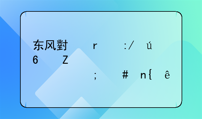 东风小霸王微卡新车太费油怎么回事