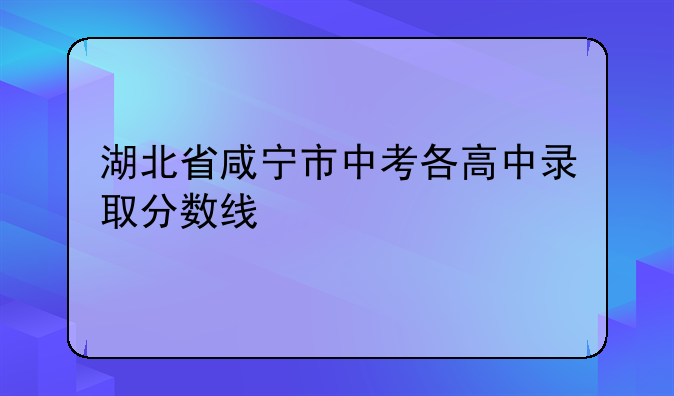 湖北省咸宁市中考各高中录取分数线