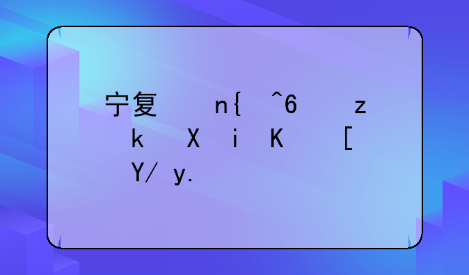 宁夏回族自治区有中小企业促进法吗？