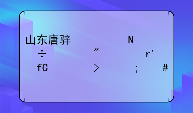 山东唐骏欧铃汽车制造有限公司怎么样