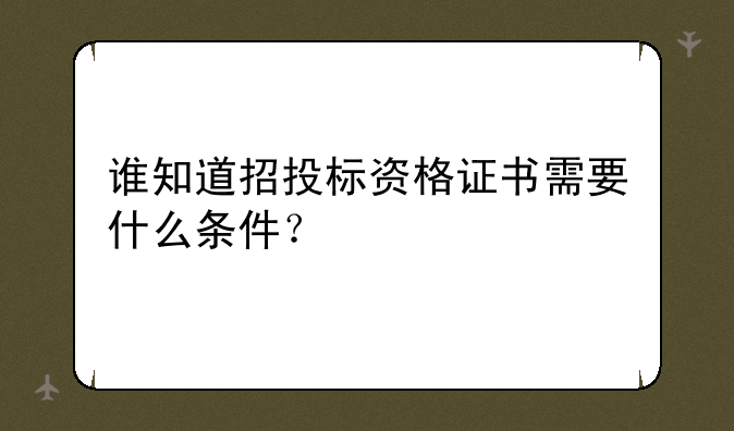 谁知道招投标资格证书需要什么条件？
