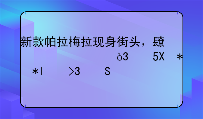 新款帕拉梅拉现身街头，长超5米2，配V6动力+双腔空悬