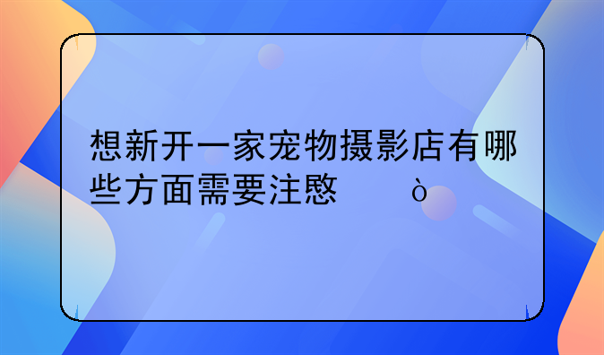 想新开一家宠物摄影店有哪些方面需要注意？