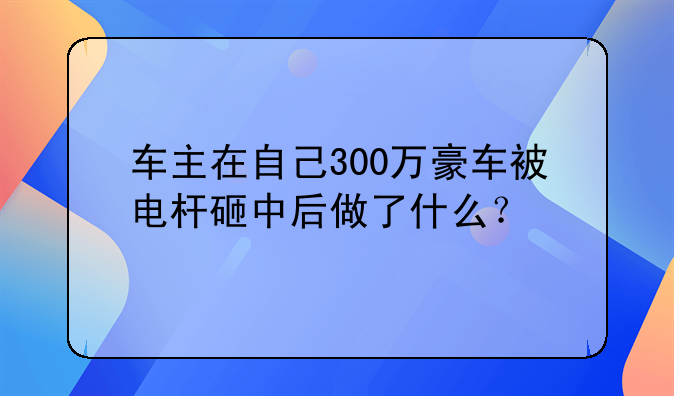 车主在自己300万豪车被电杆砸中后做了什么？