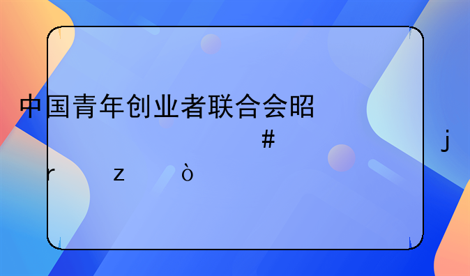 中国青年创业者联合会是一个什么性质的机构？