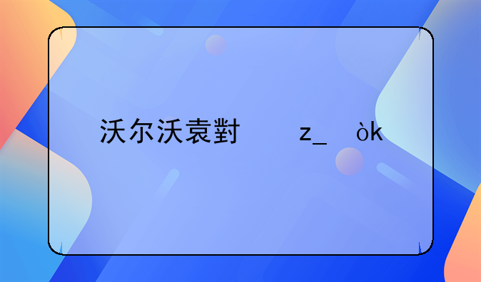 沃尔沃袁小林：执着不枉，下次我一定跑的更好