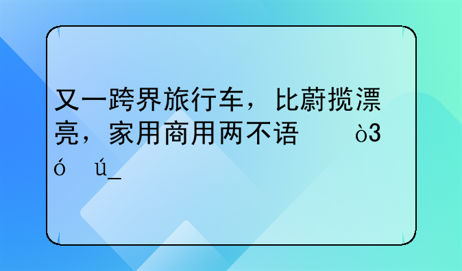 又一跨界旅行车，比蔚揽漂亮，家用商用两不误，值得等