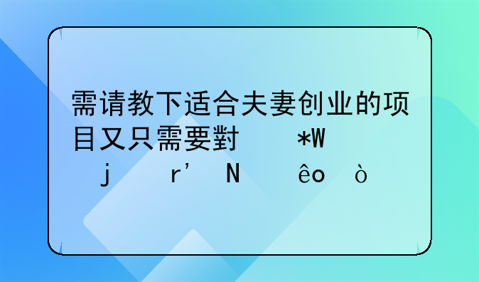 需请教下适合夫妻创业的项目又只需要小投资的有哪些？