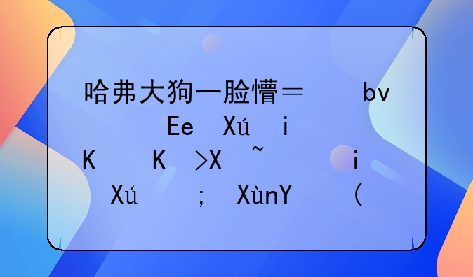 哈弗大狗一脸懵？星途VX只是个代号，有可能取名“大牛”！