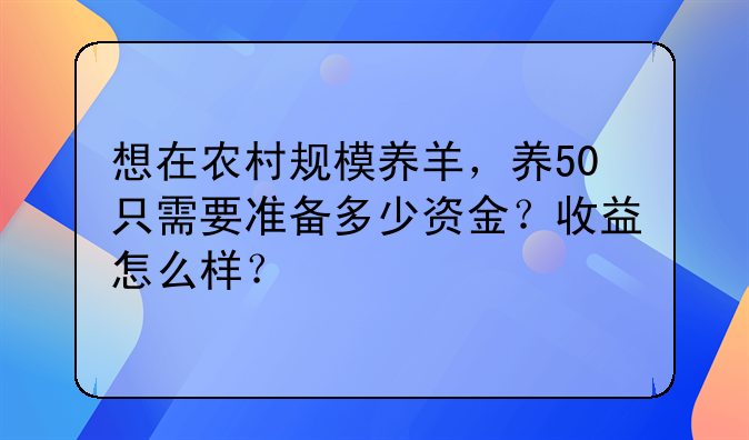 想在农村规模养羊，养50只需要准备多少资金？收益怎么样？