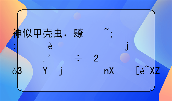 神似甲壳虫，长城推出10万起的欧拉好猫，这款车值得入手吗？