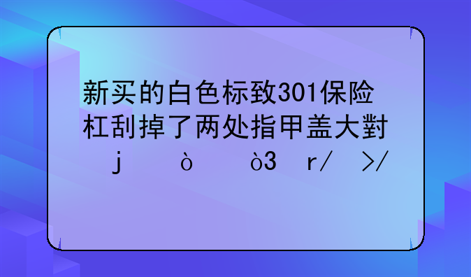 新买的白色标致301保险杠刮掉了两处指甲盖大小的漆，朋友说从