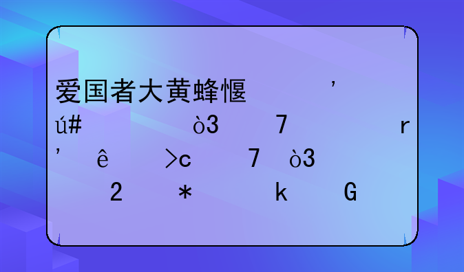 爱国者大黄蜂感觉很轻，不过有人说变重，悬挂加多少合适呢？