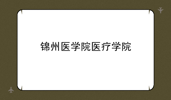 锦州医学院医疗学院