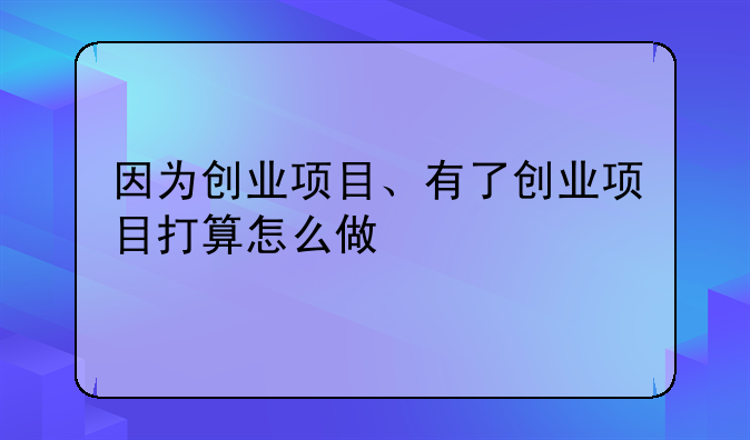 因为创业项目、有了创业项目打算怎么做