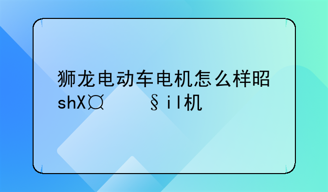 狮龙电动车电机怎么样是不是贴牌机